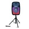 Sistema de audio recargable Aiwa 1000W